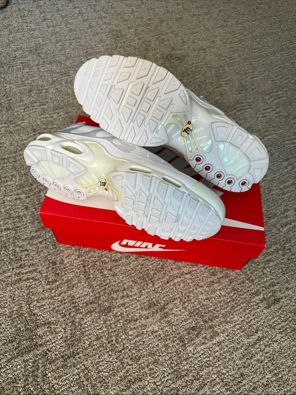 Nike Max Plus